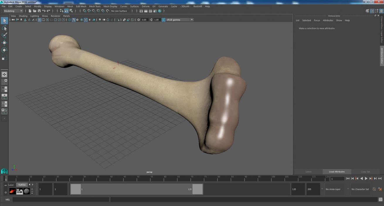 3D model Bone