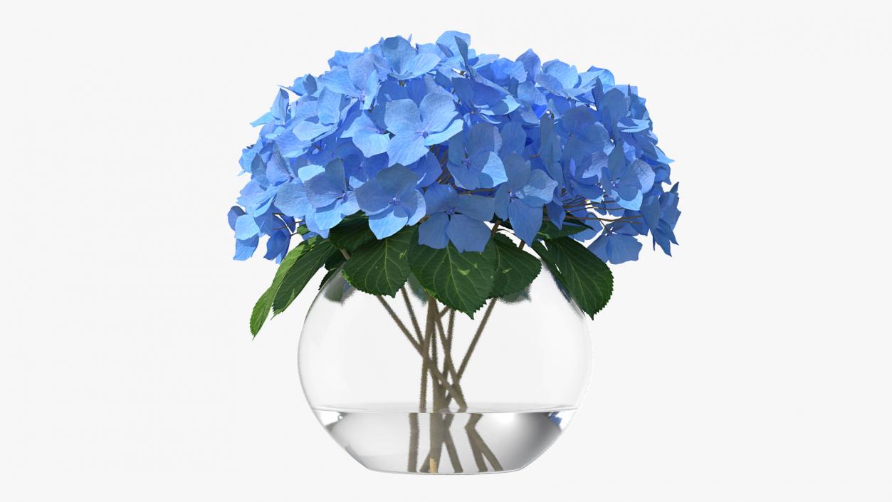 3D Hydrangea Macrophylla Nikko Blue in Glass Bowl