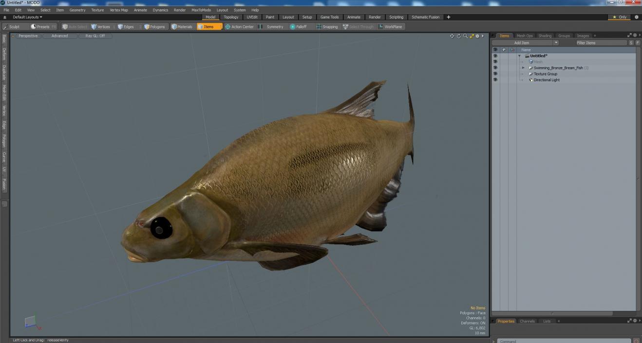 3D Swimming Bronze Bream Fish