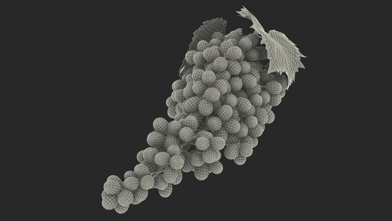 Sultana Blue Grape Cluster Lying 3D