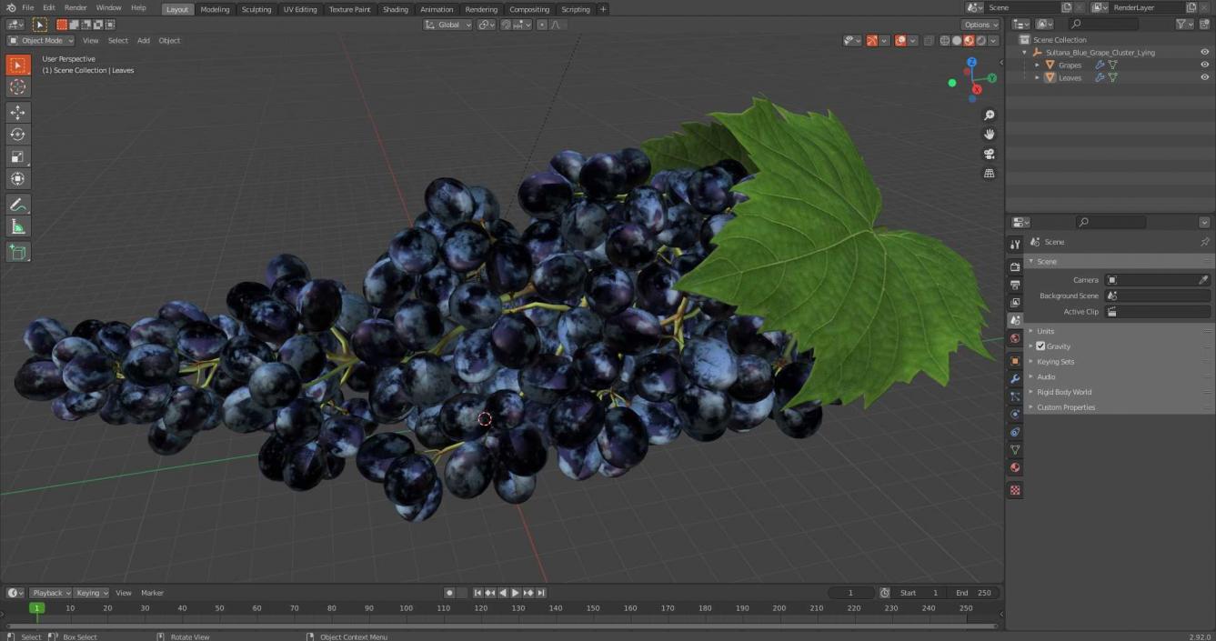 Sultana Blue Grape Cluster Lying 3D