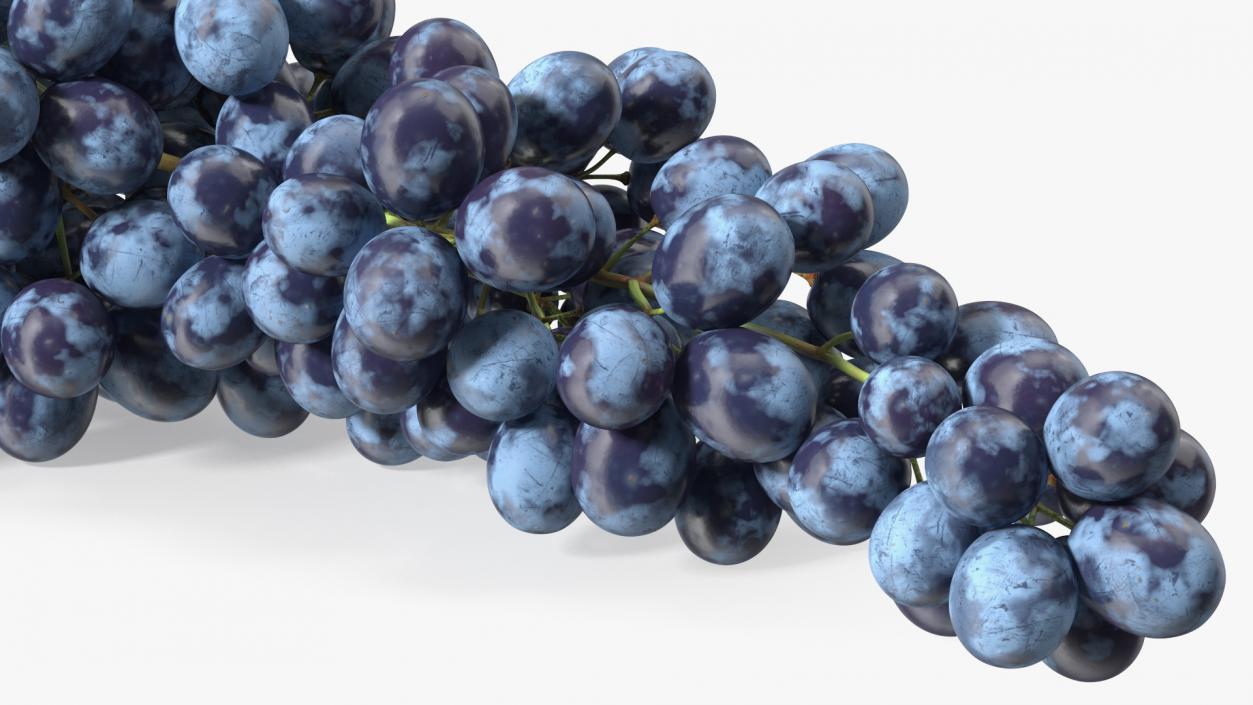 Sultana Blue Grape Cluster Lying 3D