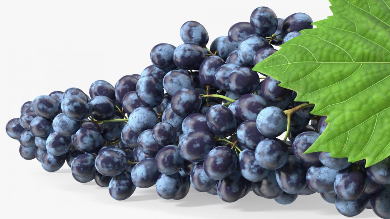 Sultana Blue Grape Cluster Lying 3D