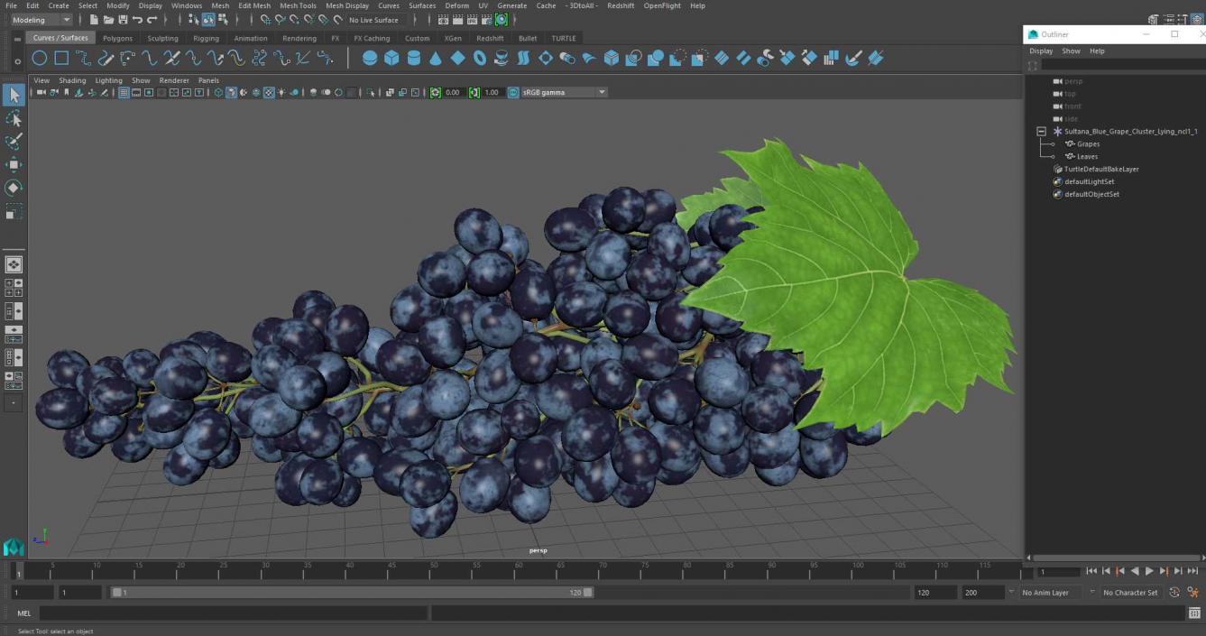 Sultana Blue Grape Cluster Lying 3D