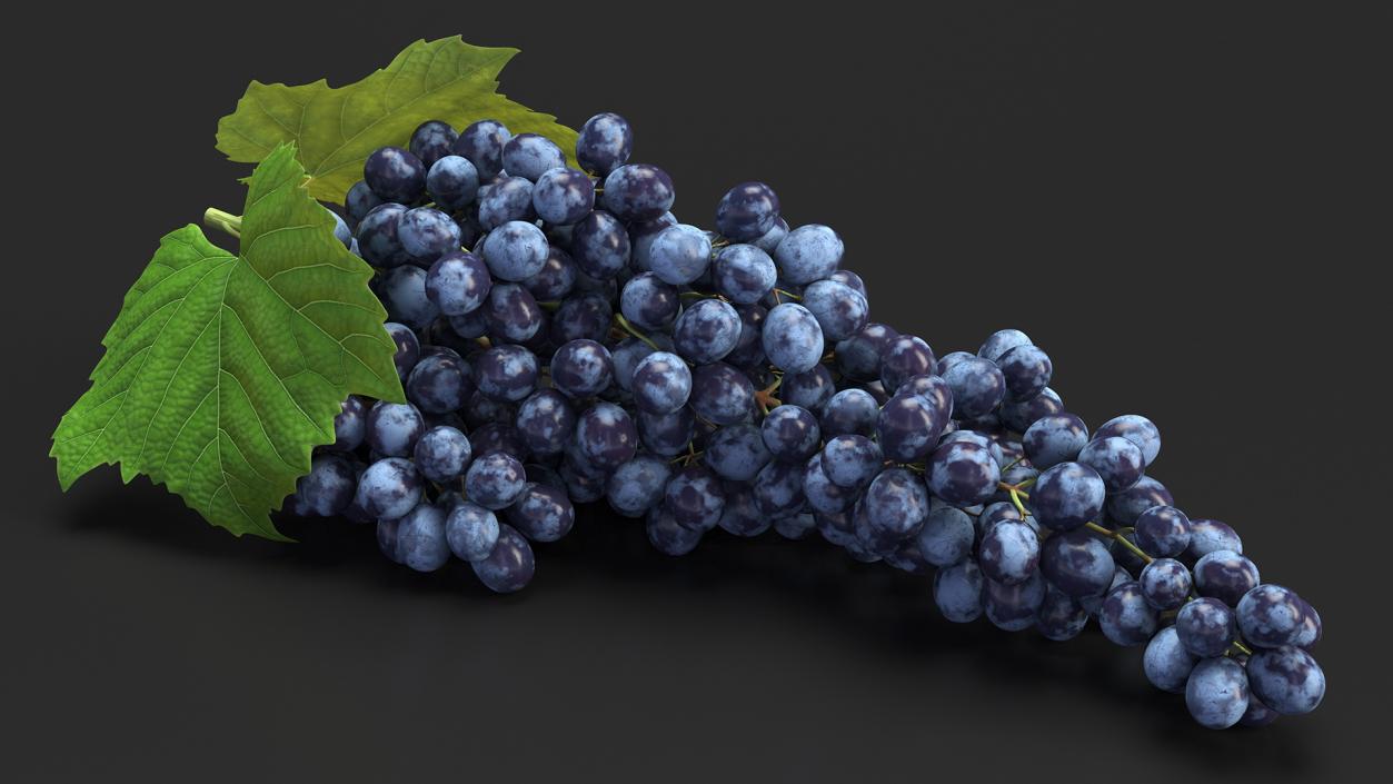 Sultana Blue Grape Cluster Lying 3D