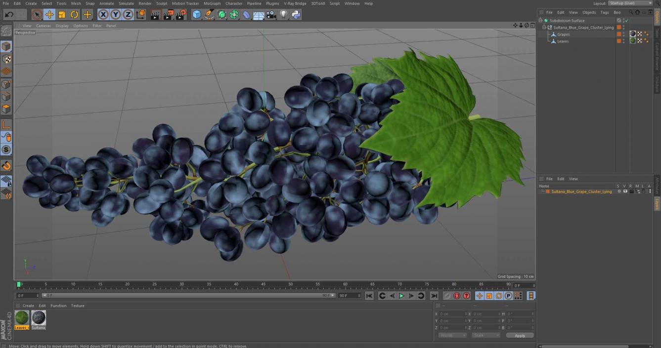 Sultana Blue Grape Cluster Lying 3D