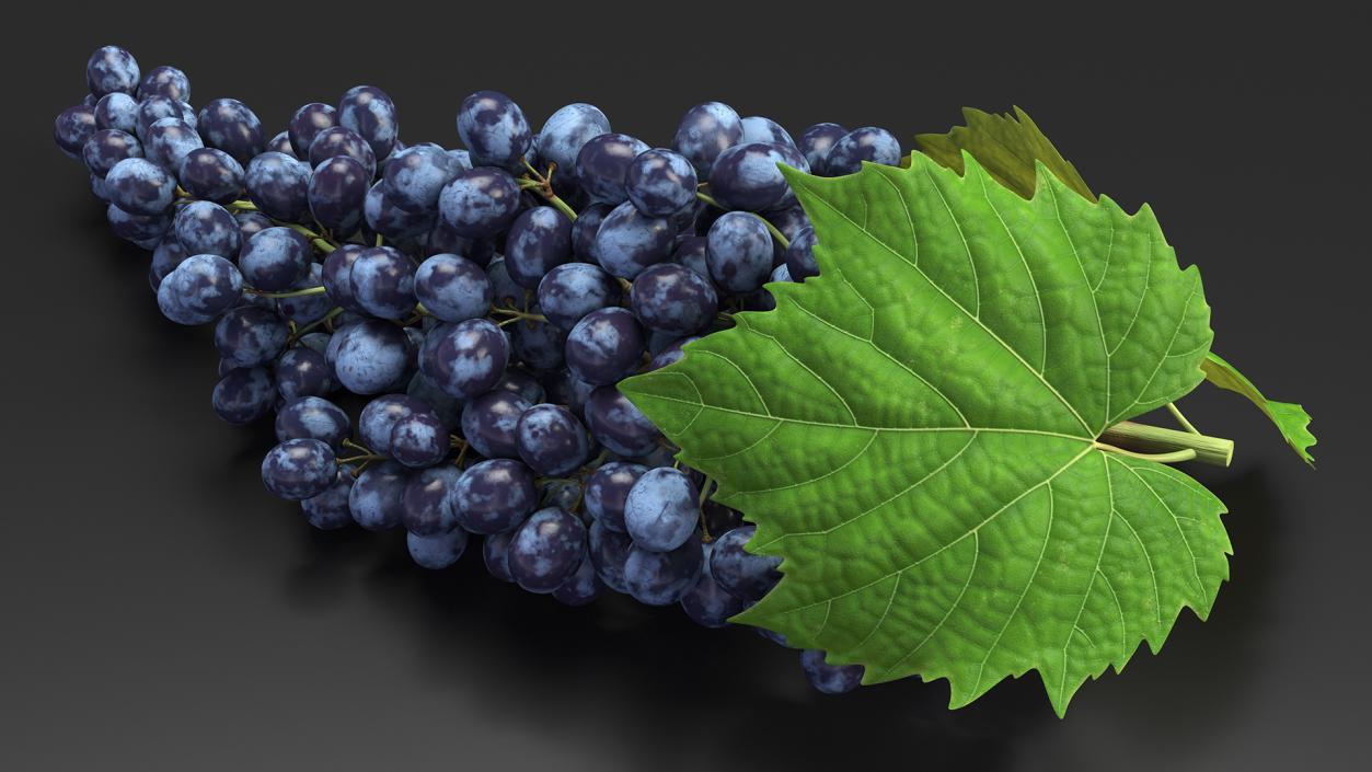 Sultana Blue Grape Cluster Lying 3D