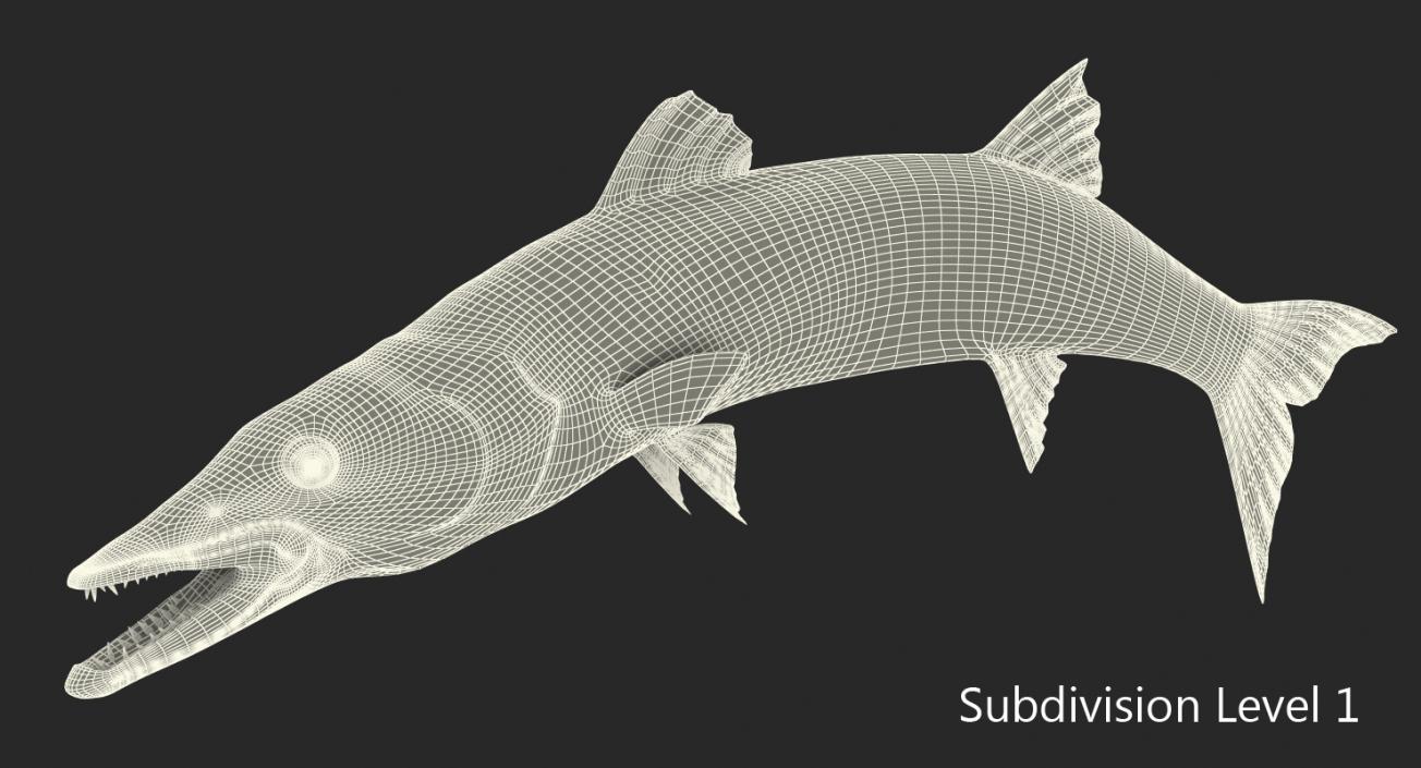 3D Barracuda Fish Pose 2