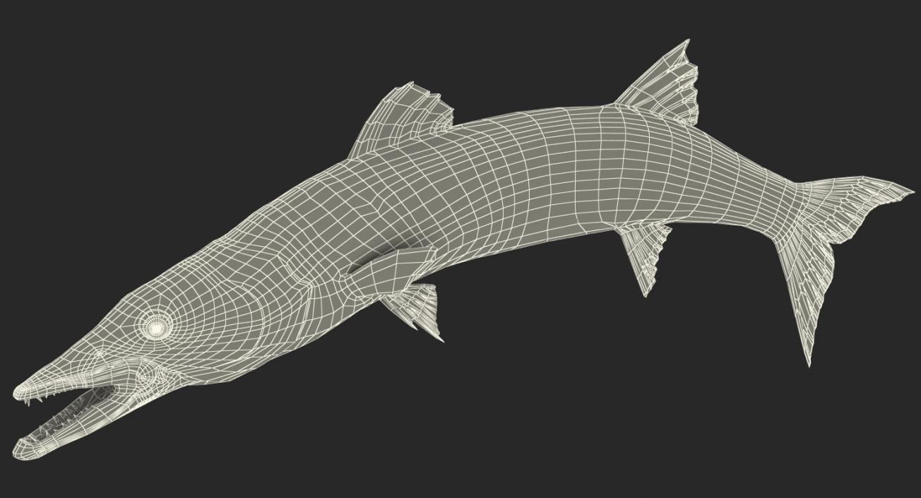 3D Barracuda Fish Pose 2