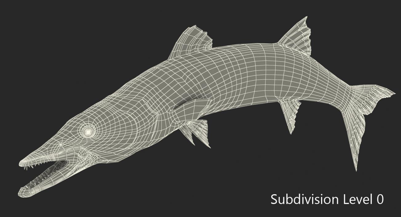 3D Barracuda Fish Pose 2