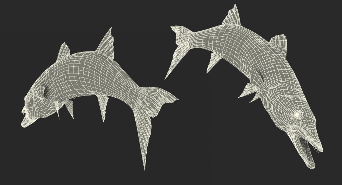 3D Barracuda Fish Pose 2