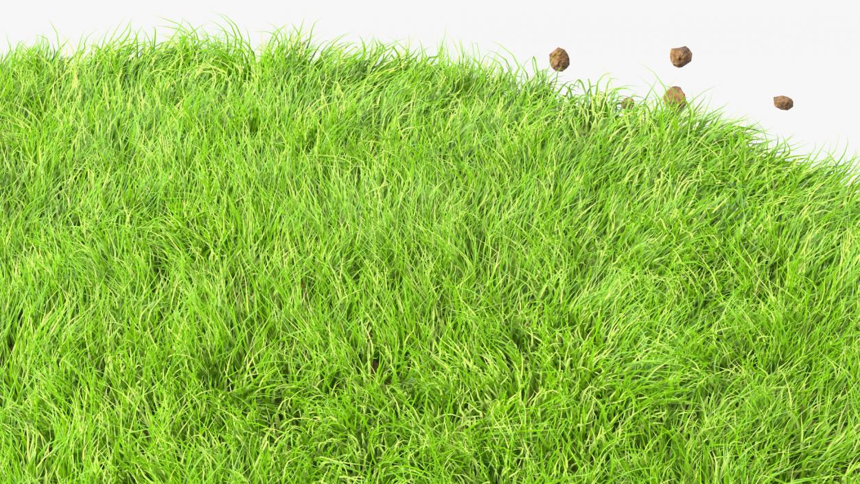 3D model Round Soil with Grass Fur