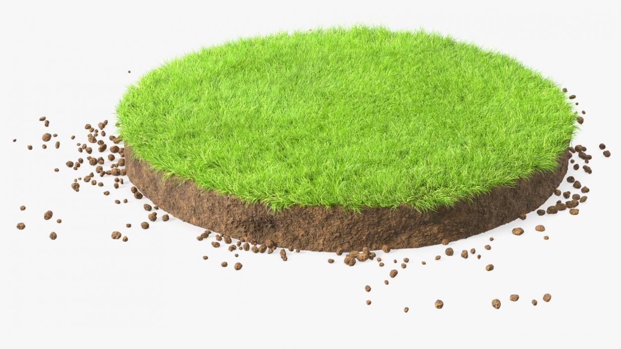 3D model Round Soil with Grass Fur