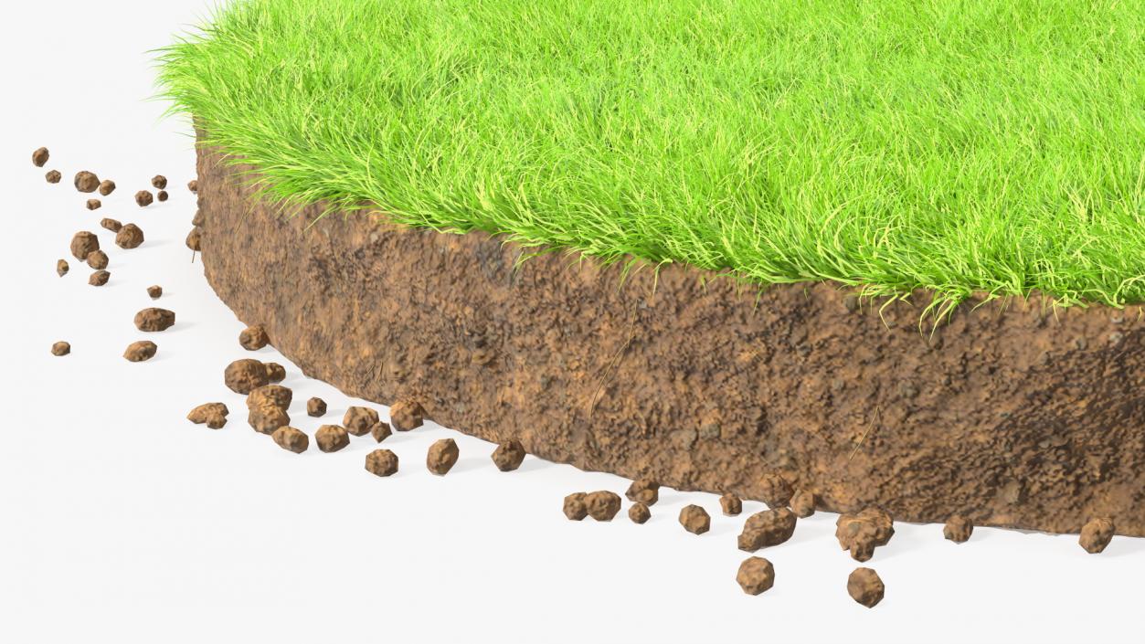 3D model Round Soil with Grass Fur