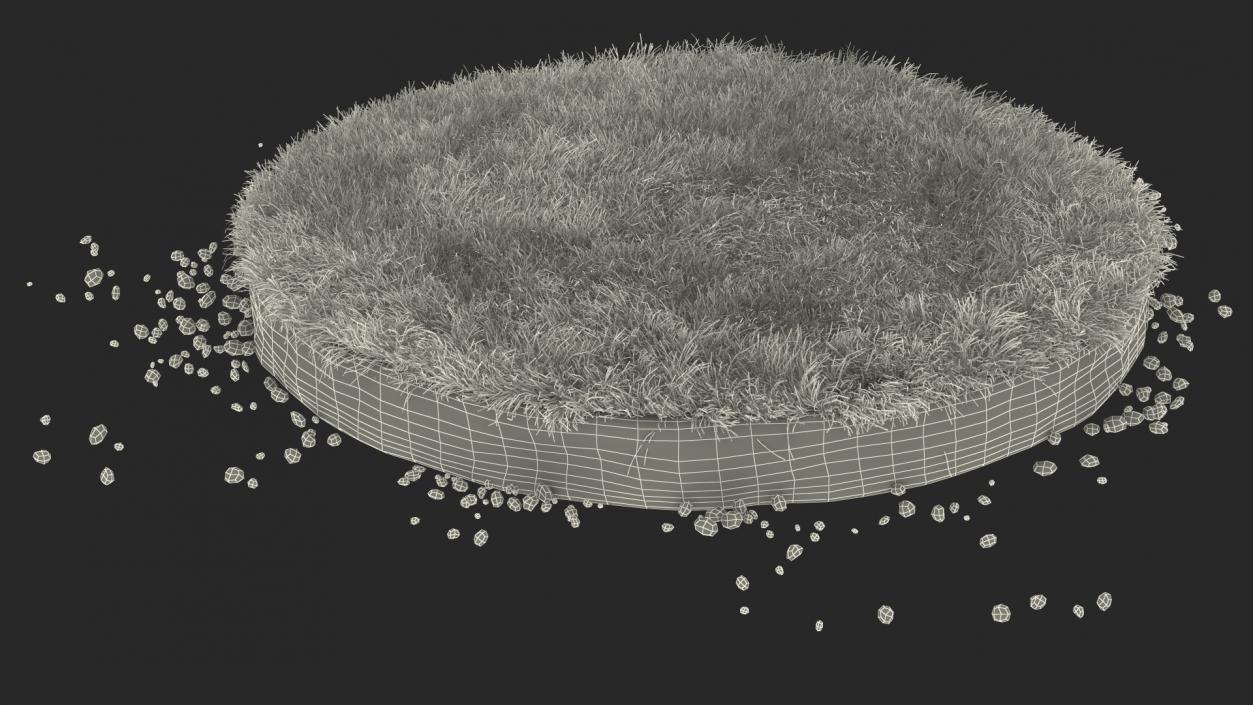 3D model Round Soil with Grass Fur