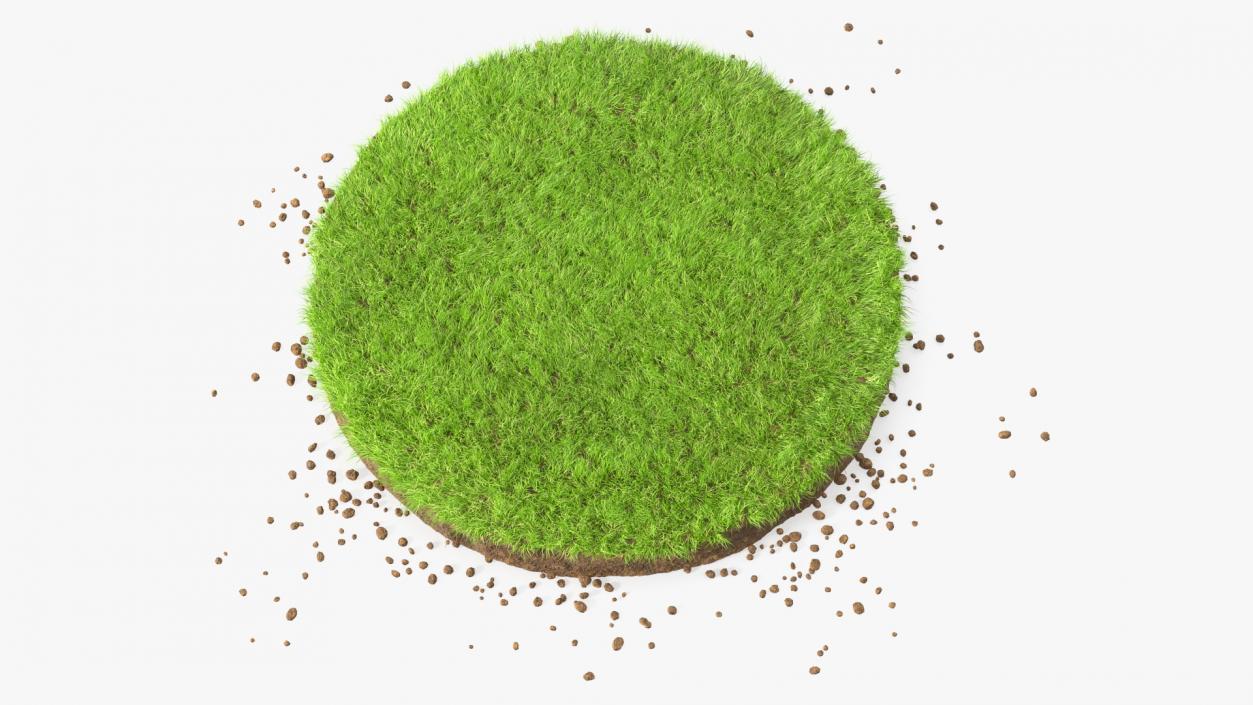 3D model Round Soil with Grass Fur