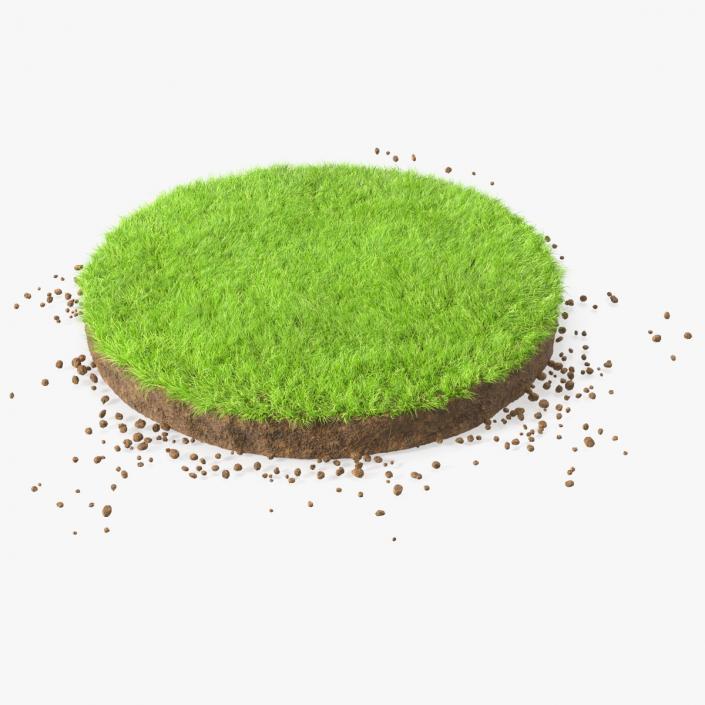 3D model Round Soil with Grass Fur