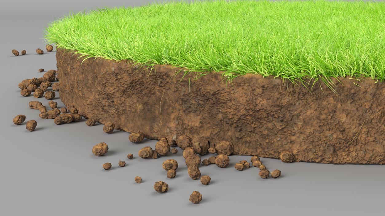 3D model Round Soil with Grass Fur