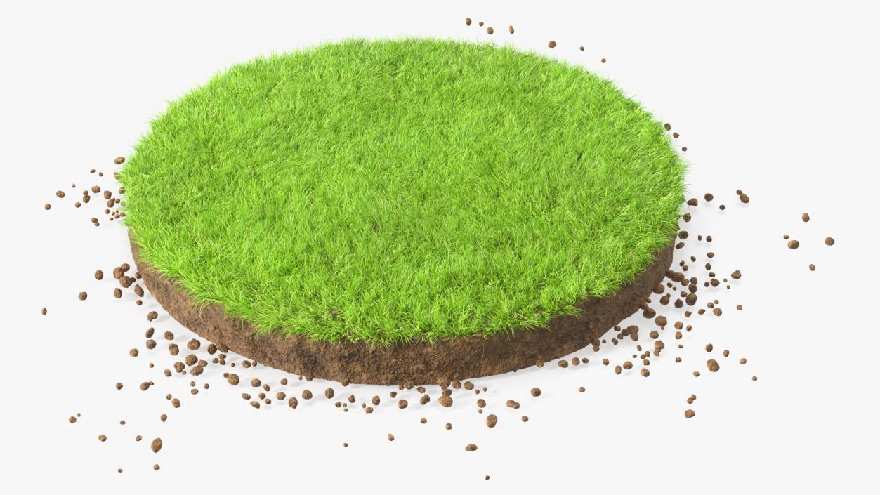 3D model Round Soil with Grass Fur