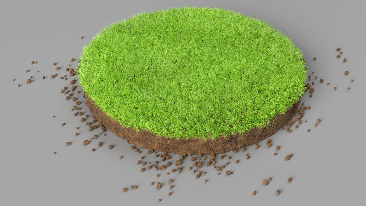 3D model Round Soil with Grass Fur