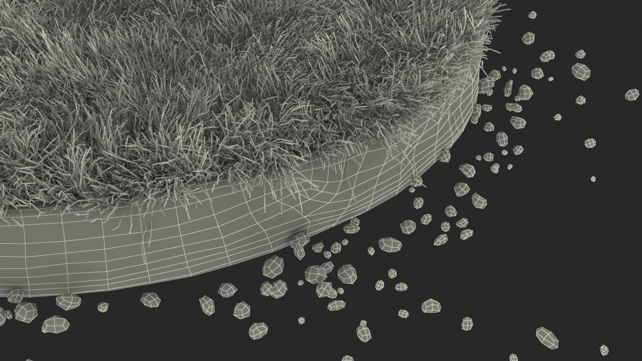 3D model Round Soil with Grass Fur