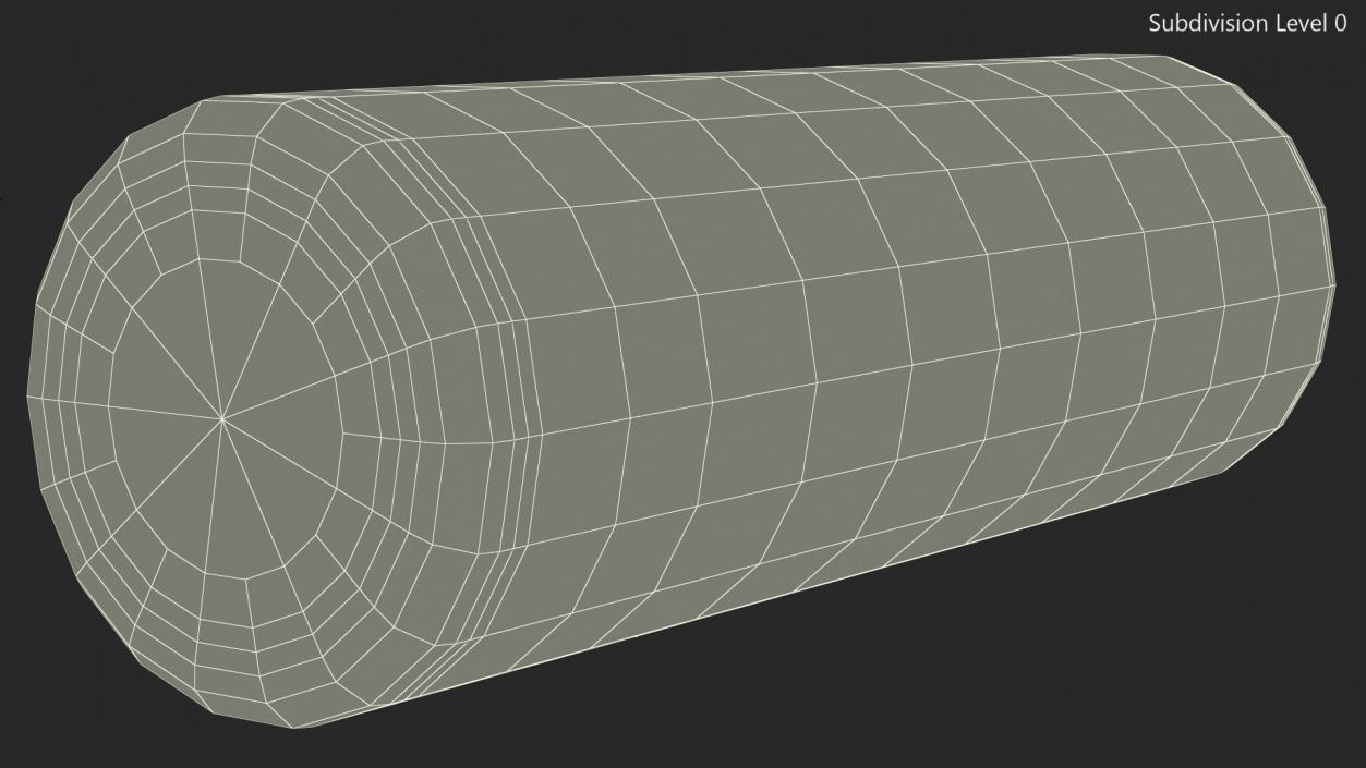 Compact Foam Roller 3D model