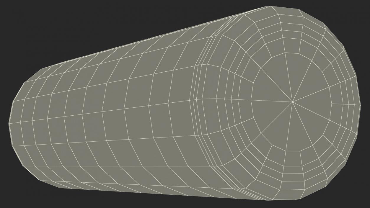 Compact Foam Roller 3D model