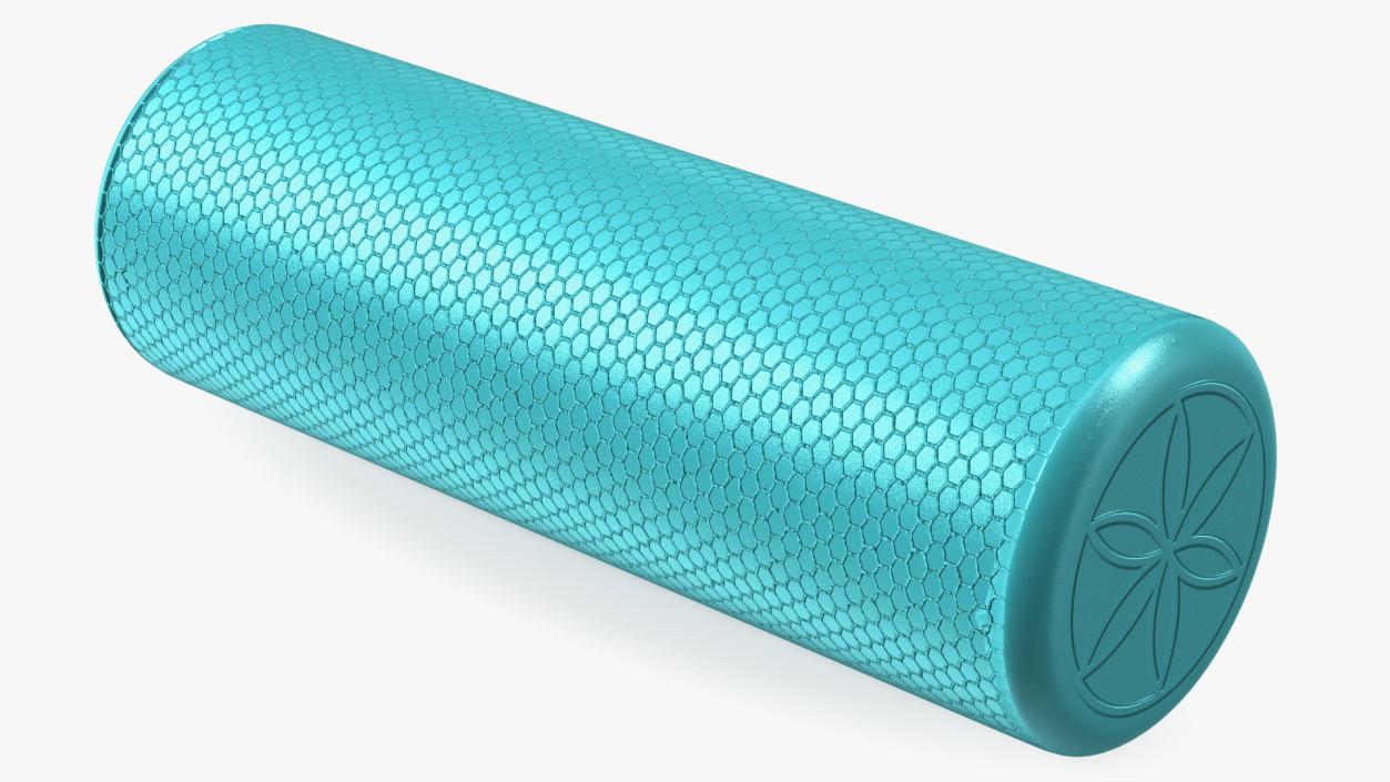 Compact Foam Roller 3D model