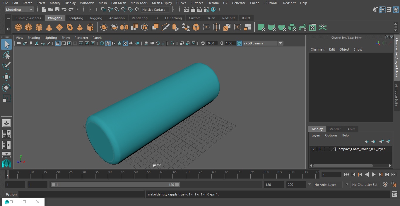 Compact Foam Roller 3D model