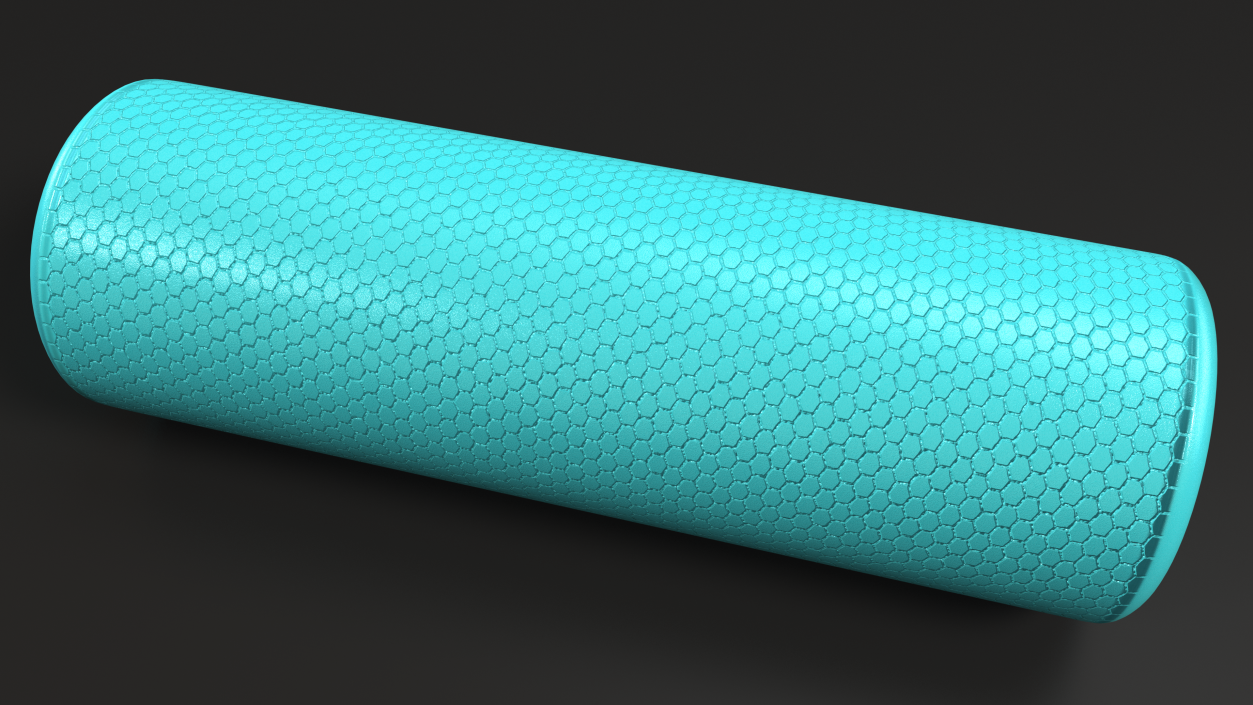 Compact Foam Roller 3D model