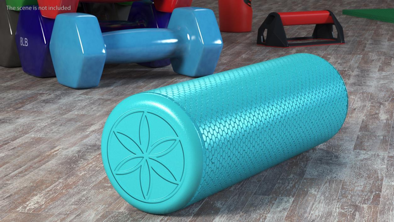 Compact Foam Roller 3D model