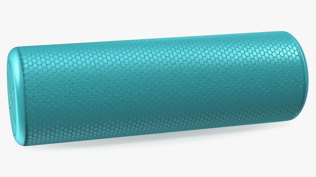 Compact Foam Roller 3D model