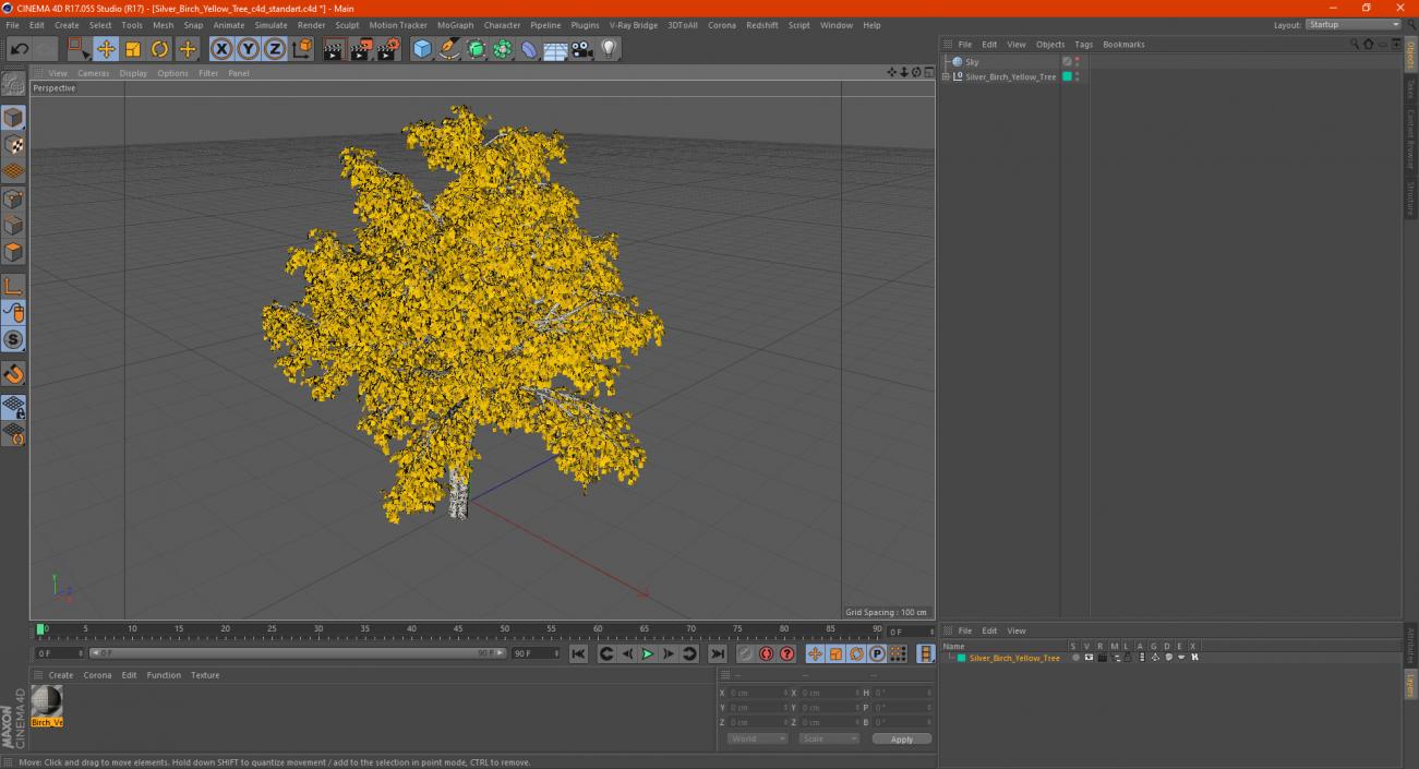 Silver Birch Yellow Tree 3D model