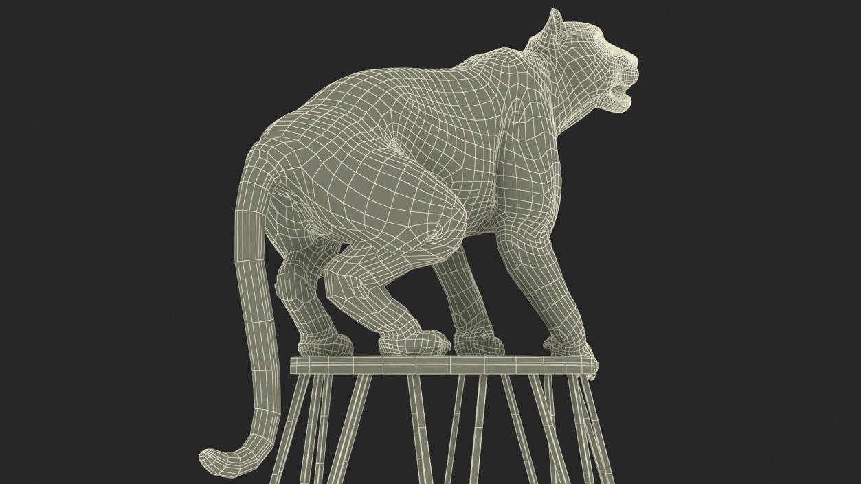 3D Tiger on a Circus Stand model