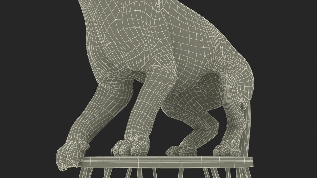 3D Tiger on a Circus Stand model