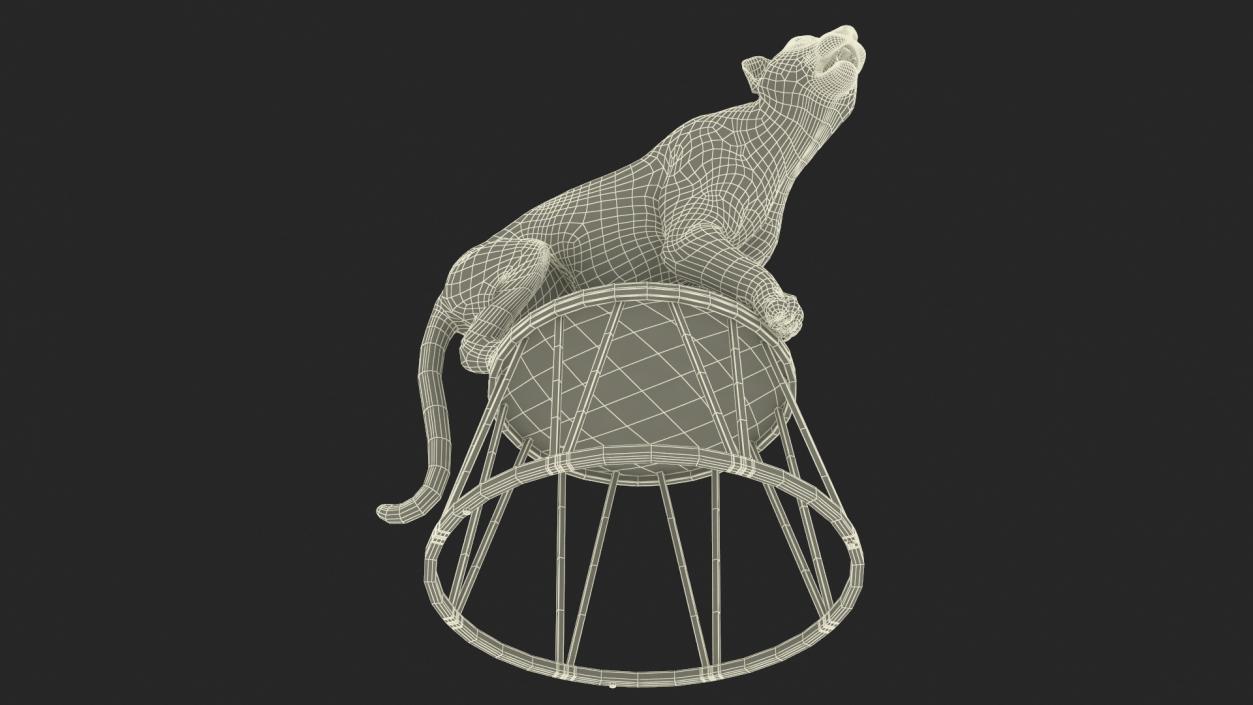 3D Tiger on a Circus Stand model