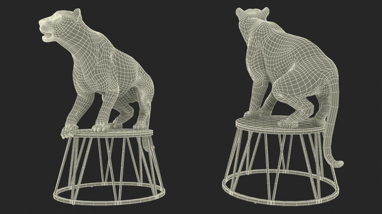 3D Tiger on a Circus Stand model