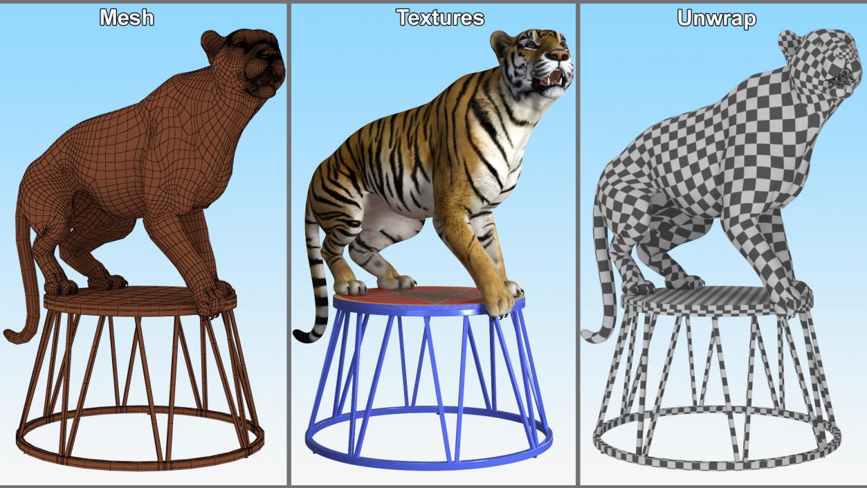 3D Tiger on a Circus Stand model