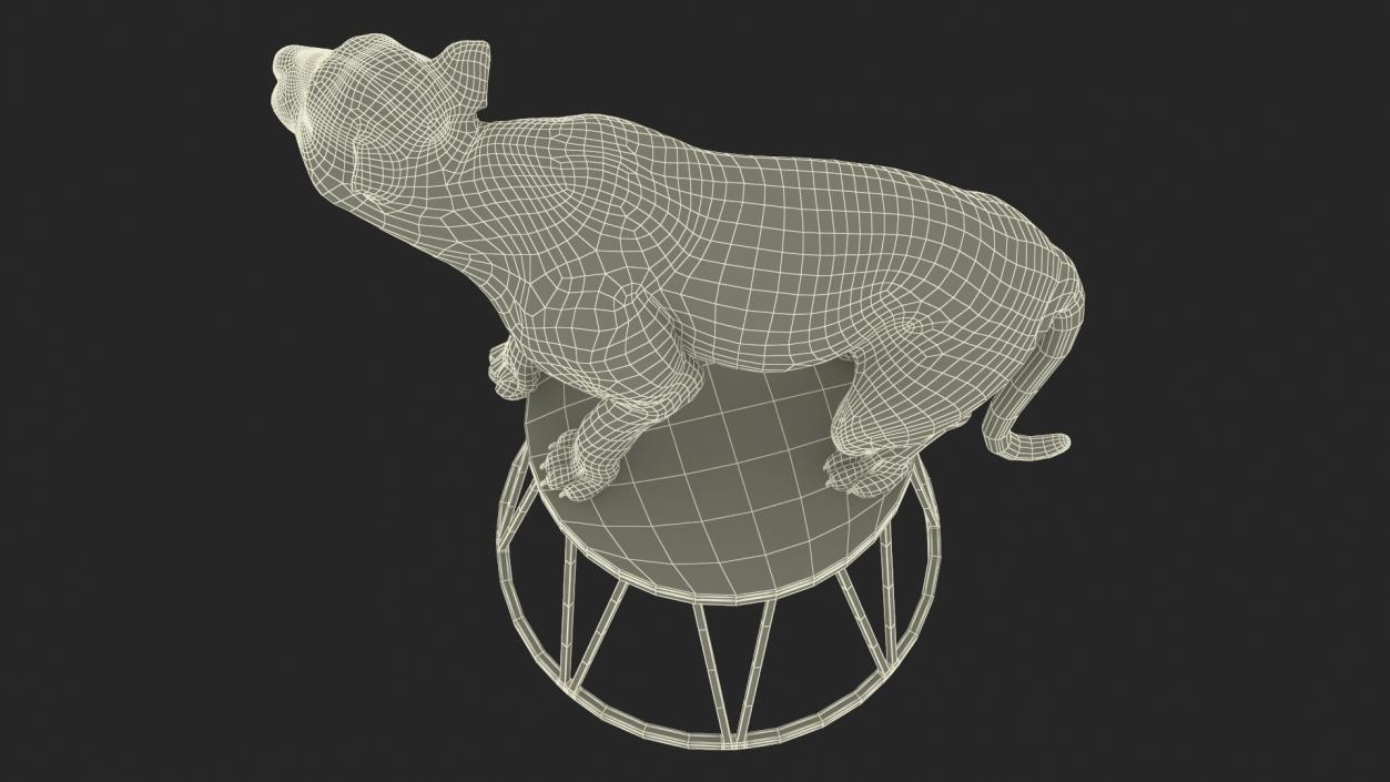 3D Tiger on a Circus Stand model