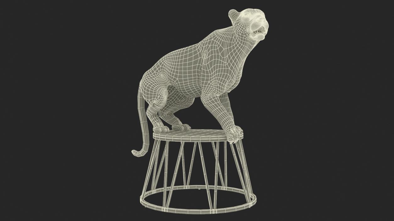 3D Tiger on a Circus Stand model