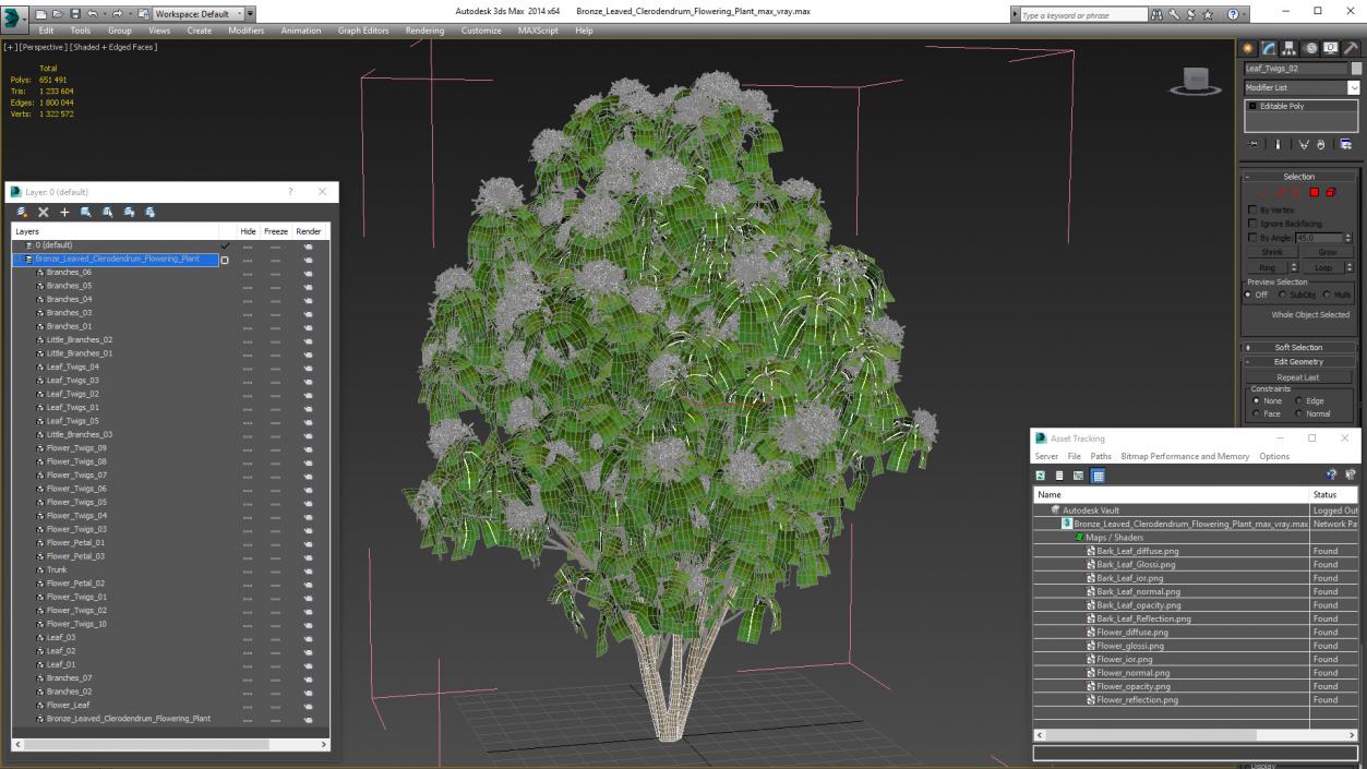 Bronze Leaved Clerodendrum Flowering Plant 3D