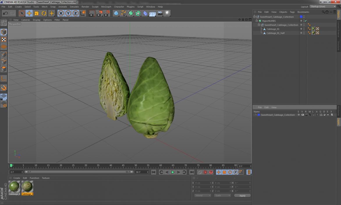 Sweetheart Cabbage Collection 3D model