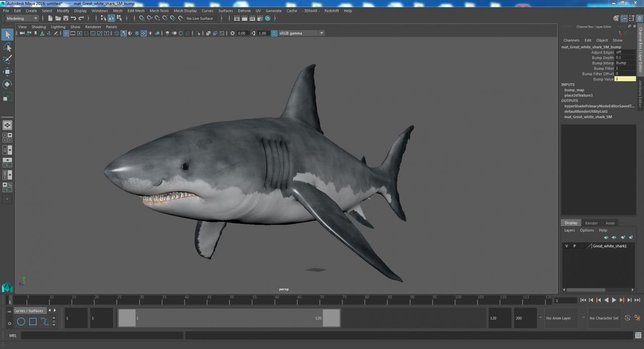 Great White Shark Fish 3D