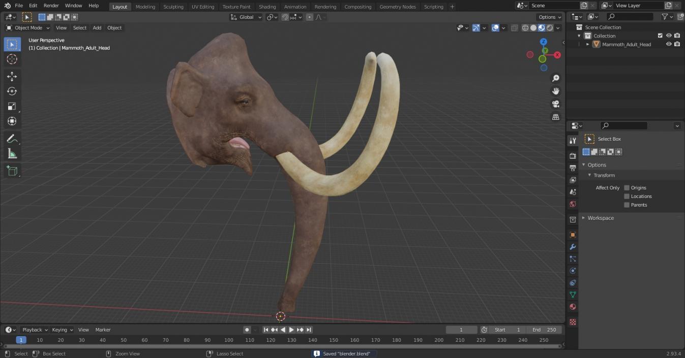 3D Mammoth Adult Head model