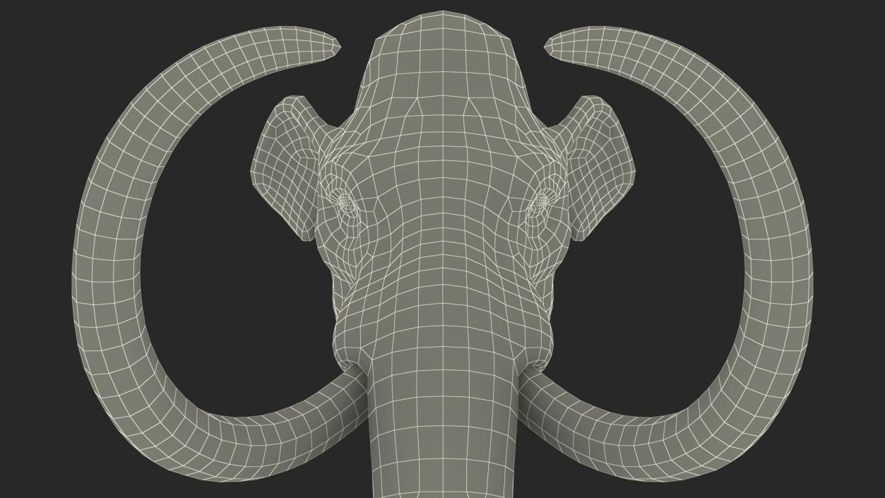 3D Mammoth Adult Head model