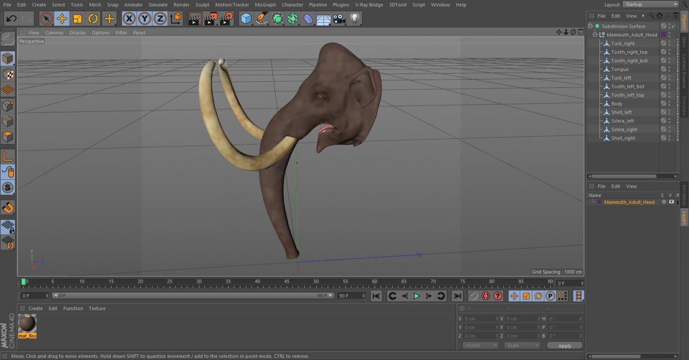 3D Mammoth Adult Head model