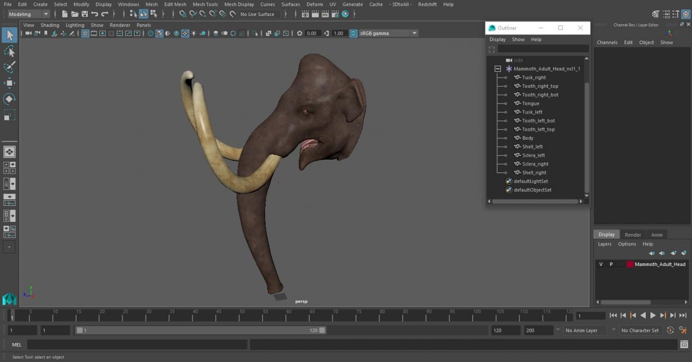 3D Mammoth Adult Head model