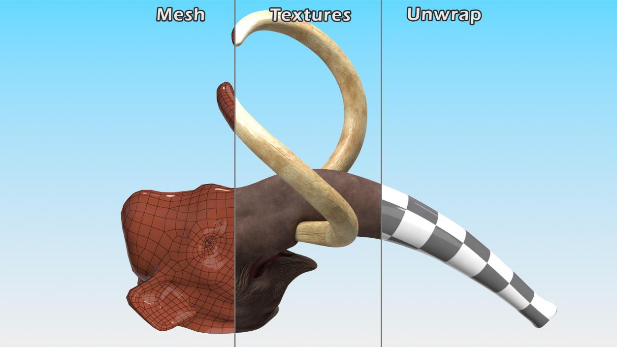 3D Mammoth Adult Head model