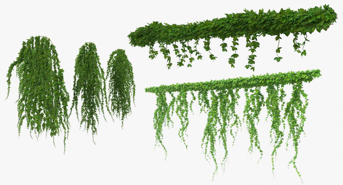 Ivy 3D Models Collection 3D model