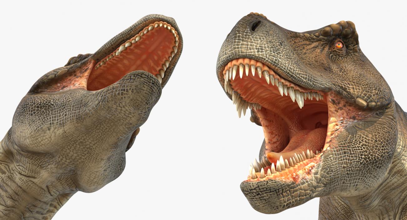 Dinosaurs 3D Models Collection 4 3D